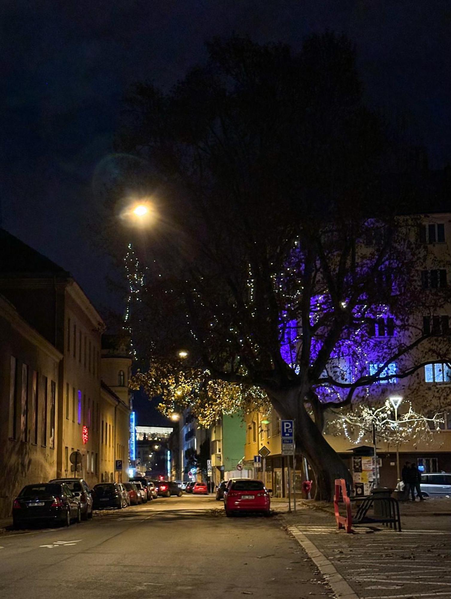 Haas Apartments Downtown With Parking Brno Exteriör bild