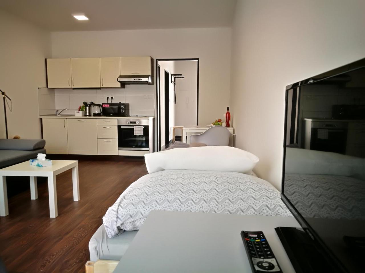 Haas Apartments Downtown With Parking Brno Exteriör bild