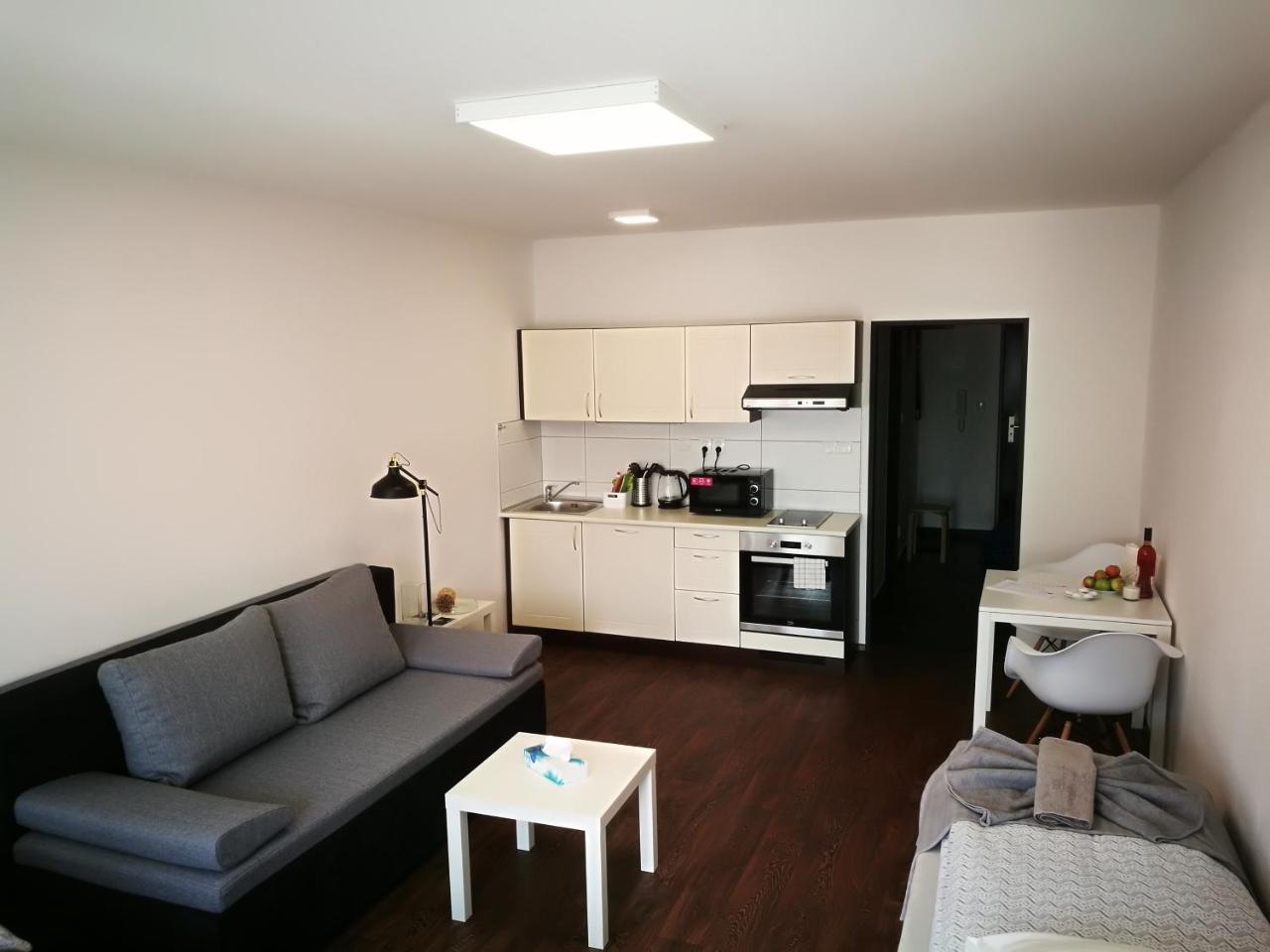 Haas Apartments Downtown With Parking Brno Exteriör bild